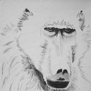 "Baboon"