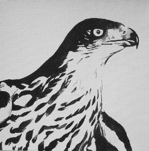 "Eagle"