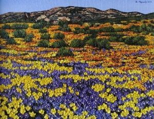 "Namaqualand In bloom"