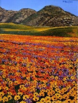 "Carpet of Blooms"