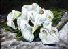 "Lilies"
