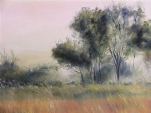 "Moremi Botswana"