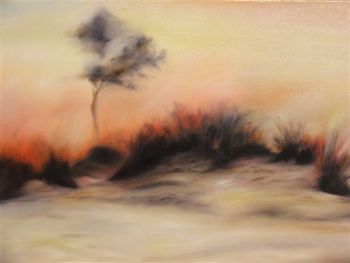 "Namib Desert I"