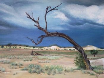 "Thunderstorm in Namib Desert"