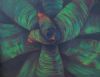 "Bromeliad 3"