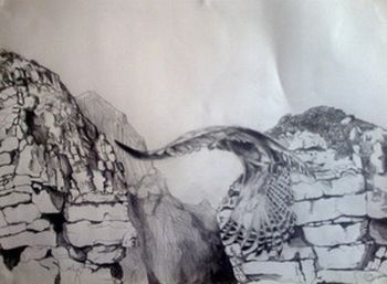 "Eagle Darting Through Mountains"