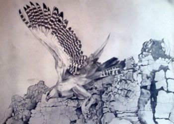 "Eagle Soaring Past the Cliffs"