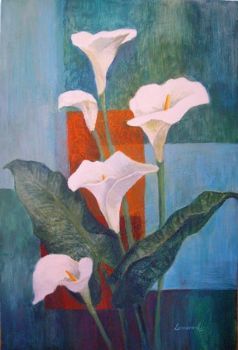 "White Arums"