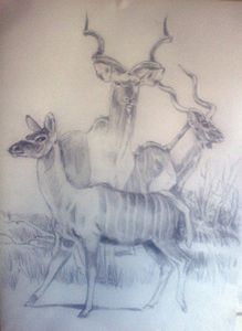 "Kudus Alerted"