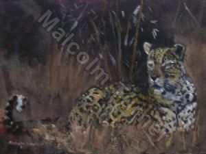 "Night Watch Leopard"