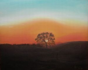 "View of Choice 1"