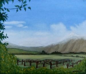 "Cape Winelands"