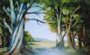 "Blue Gum Trees"