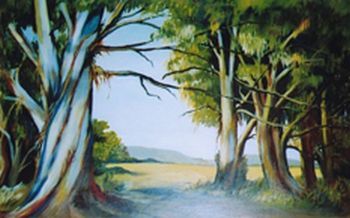 "Blue Gum Trees"