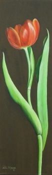 "Tulip"