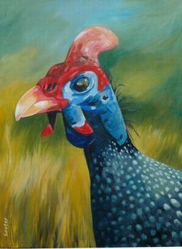 "Helmeted Guinea Fowl 4 "
