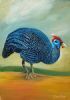 "Helmeted Guinea Fowl 6"