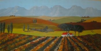"Cape Vineyards"
