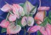 "Pink Antirrhinums"