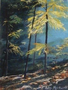 "Mystical Forest"