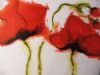 "Poppies"