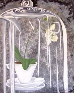 "Cup of Orchid"