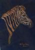"Zebra"