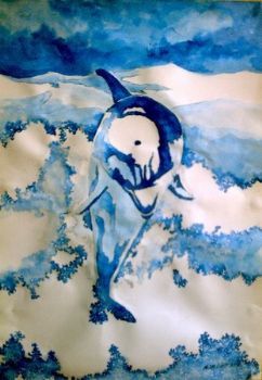 "Dolphin"