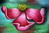 Pink Flower