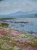 "Wildflowers Swartvlei"