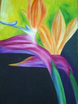 "Strelitzia"