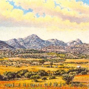 "Spring in Namaqualand "