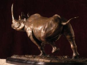 "Black Rhino - View 2"