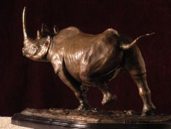 "Black Rhino - View 2"