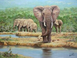 "Addo Elephant Waterhole"