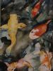"Koi"