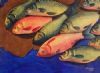 "Fish"