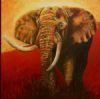 "Elephant - 