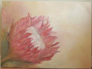 "Protea in morning light"