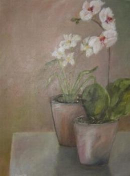 "Orchids and Daffodils"