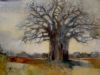 "Baobab landscape"