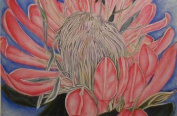 "Open Protea"