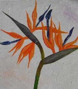 "Flower"