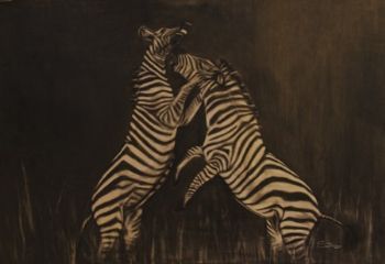 "Fighting Zebra"