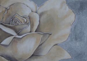 "Rose in Cream 1"