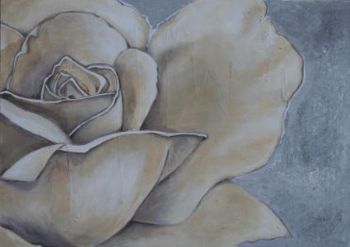 "Rose in Cream 1"