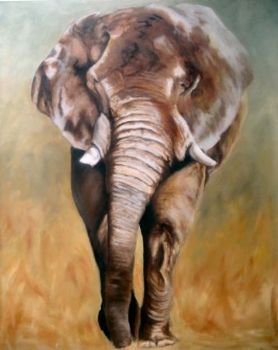 "Jumbo King"