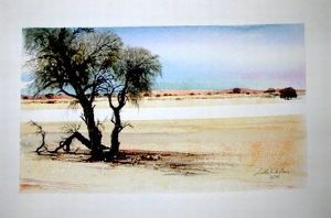 "Kalahari Auob riverbed 2"