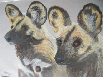 "Wild Dogs"