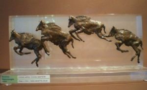 "Wildebeest Running"